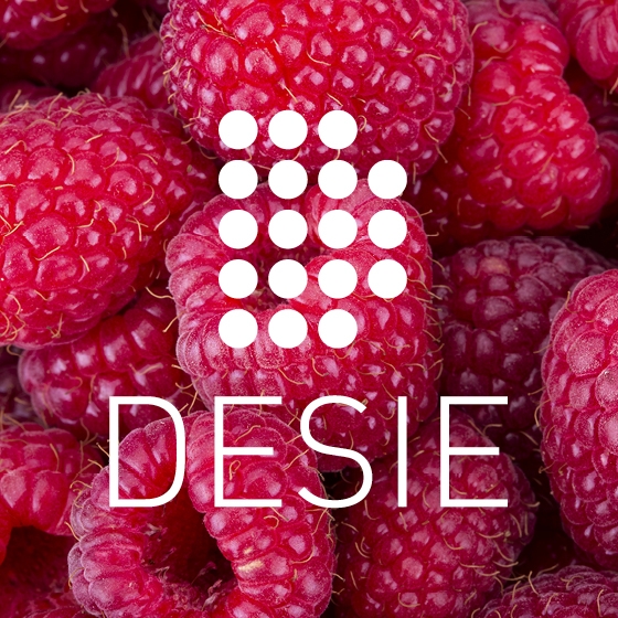 1-DESIE-Logo