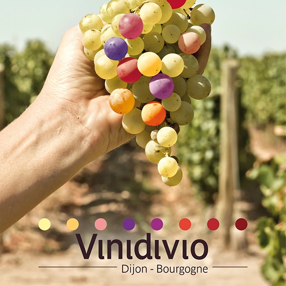 1-Vinidivio_declinaison-logo_560