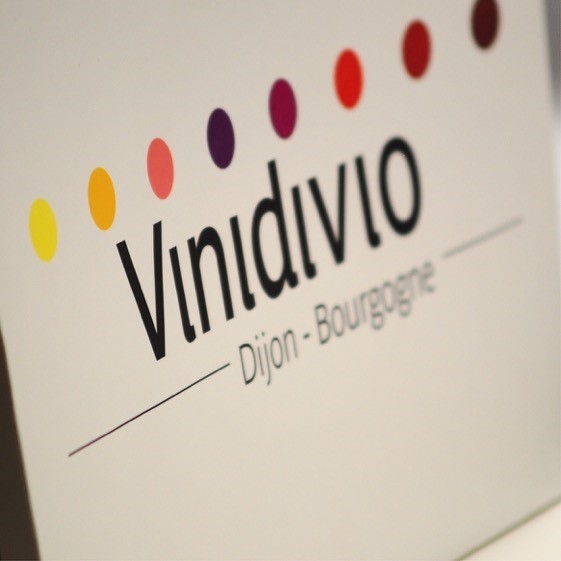 3-Vinidivio_sac