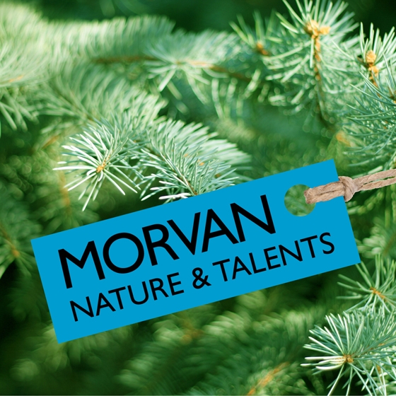 1-Morvan-Nature-et-Talent_Logo